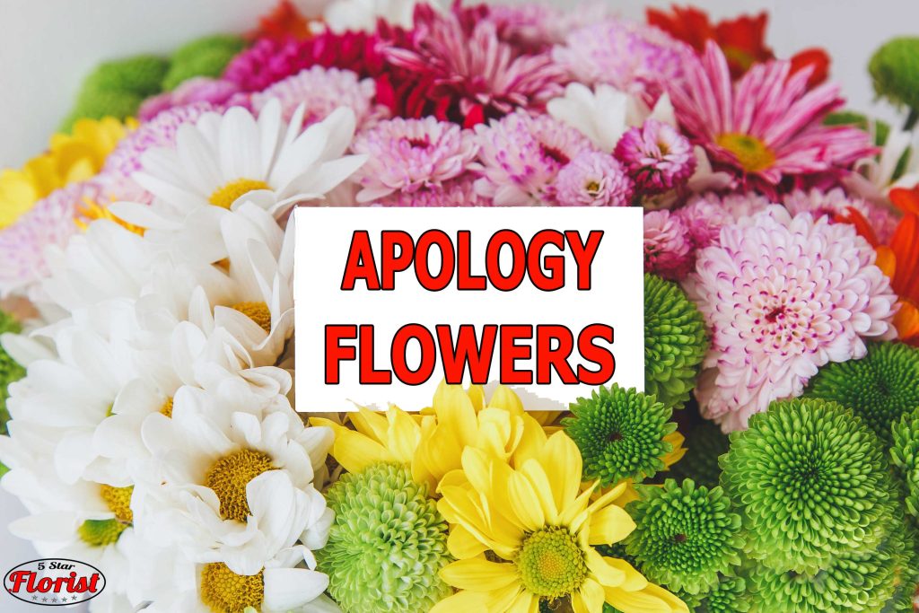 apology flowers Charlotte