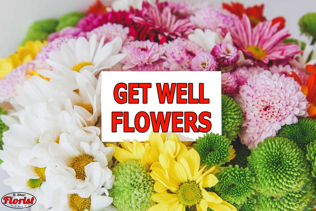 get-well-flowers Charlotte